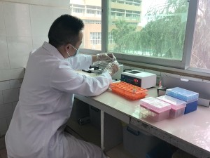 DNA基因检测，我们走在了前沿