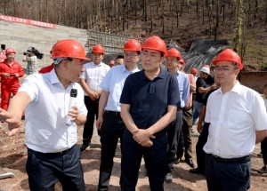 林书成在西昌调研督导森林防灭火专项整治