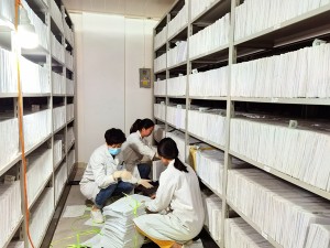改善病案环境  圆满完成搬迁