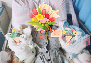 生命的“双宫”礼：一对龙凤胎的别样诞生记