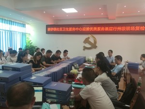 凉山州卫健委 对宁南县“优质服务基层行活动”开展复核工作
