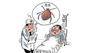 秋季野外游，警惕“隐形刺客”——恙虫病