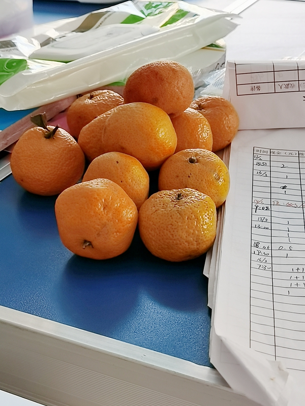 宁南县人民医院