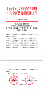 首批“宁南英才卡”发放啦！县医院12名英才榜上有名