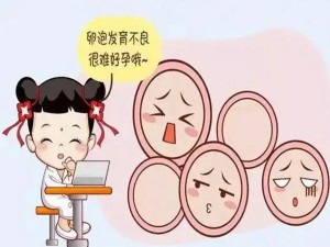 超声科：卵泡监测助好“孕”