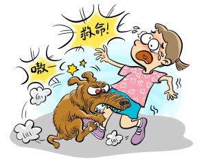 “汪星人”咬伤不要慌！“犬伤门诊”来护航